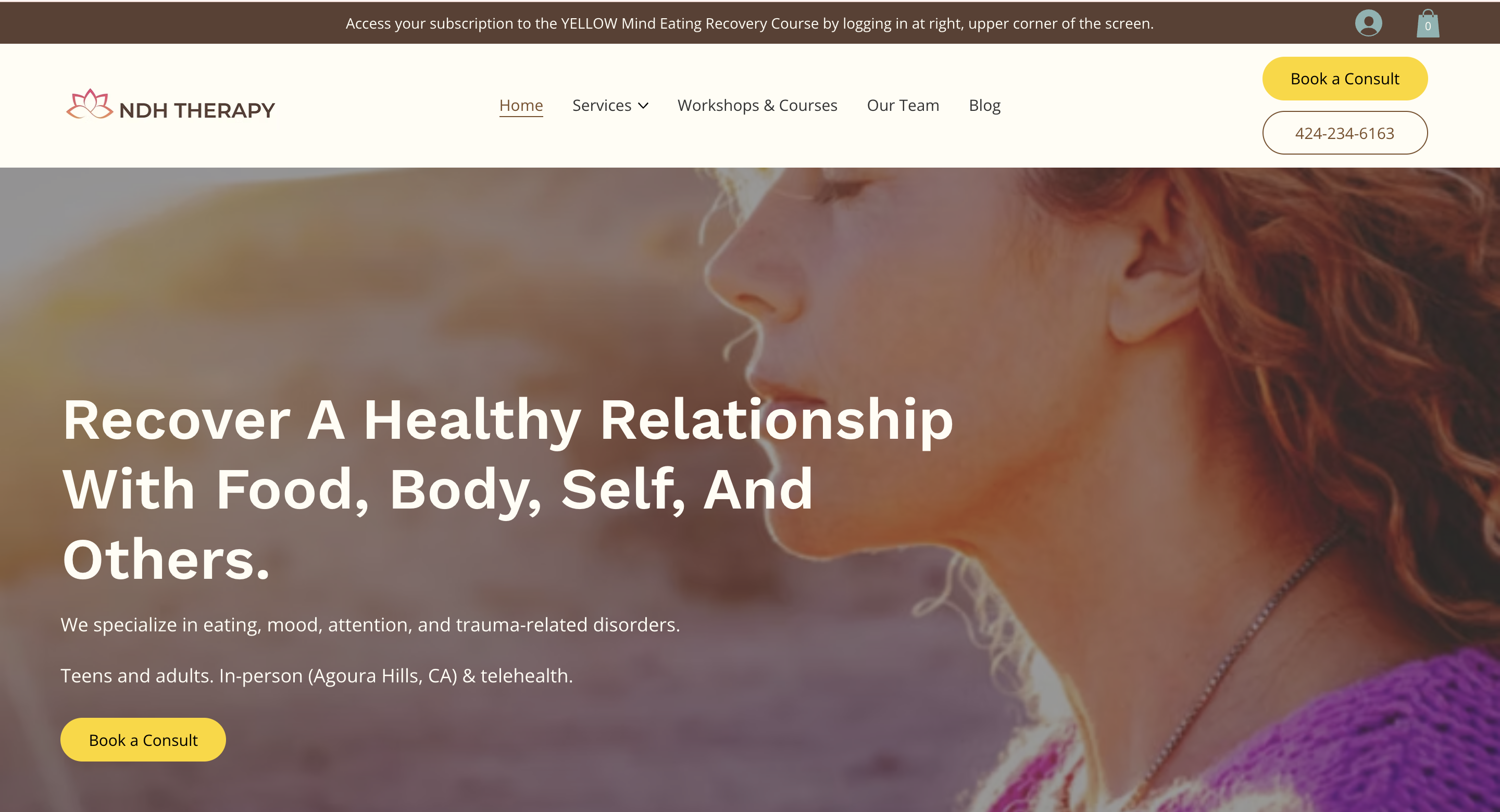 NDH Therapy Website